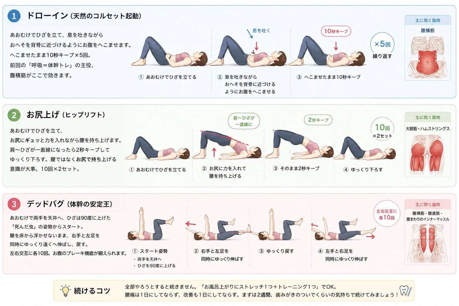 ドローイン・お尻上げ（ヒップリフト）・デッドバグの3つのトレーニングのやり方の図解