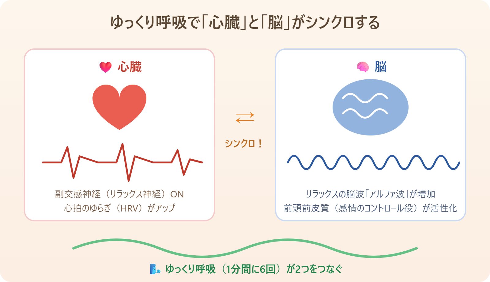 ゆっくり呼吸で心臓と脳がシンクロする仕組みの図解
