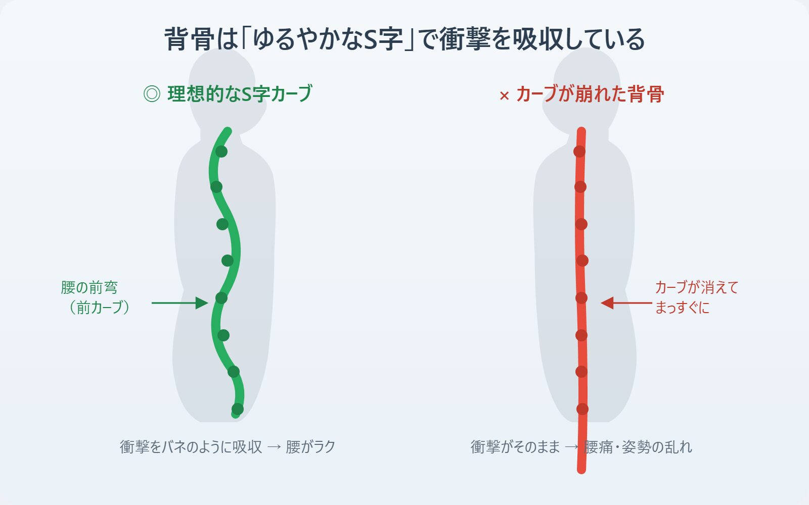 背骨のS字カーブと、カーブが崩れた背骨の比較図